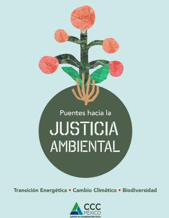 Documento: Puentes hacia la Justicia Ambiental. Escazú en las agendas de Transición energética-Cambio Climático y Biodiversidad